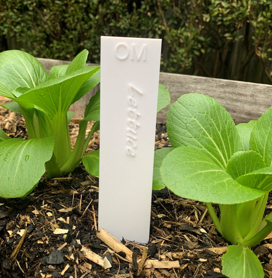 Garden Stake - Lettuce