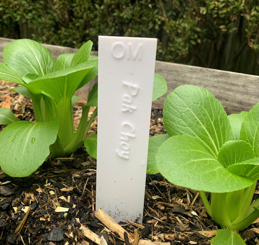 Garden Stake - Pak Choy